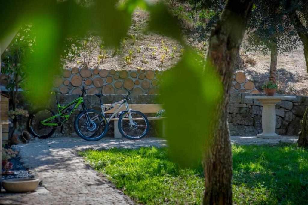 Quinta Vale De Frades Guest House Torrao  Bagian luar foto